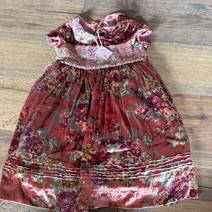 April Cornell Velvet Dress in Red and Purple Floral